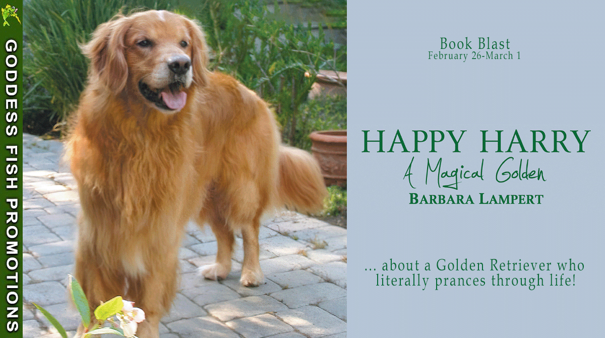 Happy Harry: A Magical Golden by Barbara Lampert