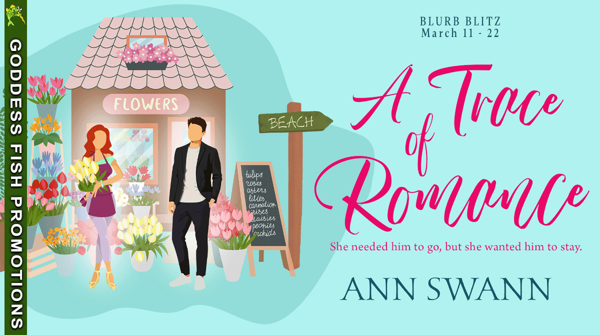 A Trace of Romance by Ann Swann