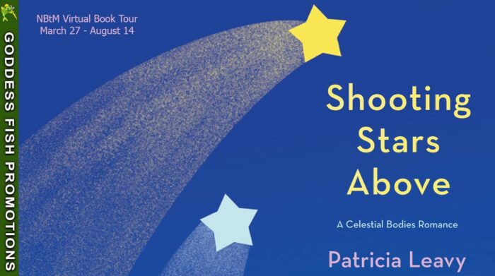 Author Guest Post with Patricia Leavy: Shooting Stars Above
