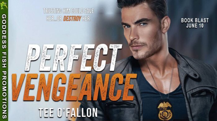 Perfect Vengeance by Tee O’Fallon